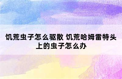 饥荒虫子怎么驱散 饥荒哈姆雷特头上的虫子怎么办